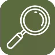 網(wǎng)絡(luò)身份與名譽管理