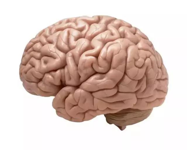 馬斯克腦機融合系統(tǒng)Neuralink