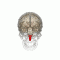 馬斯克腦機融合系統(tǒng)Neuralink