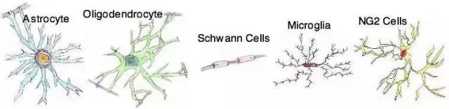 馬斯克腦機融合系統(tǒng)Neuralink